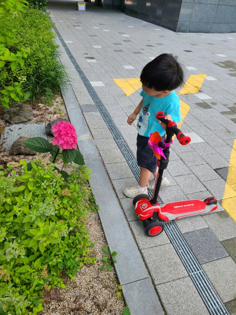 (주)더해맑음 이미지