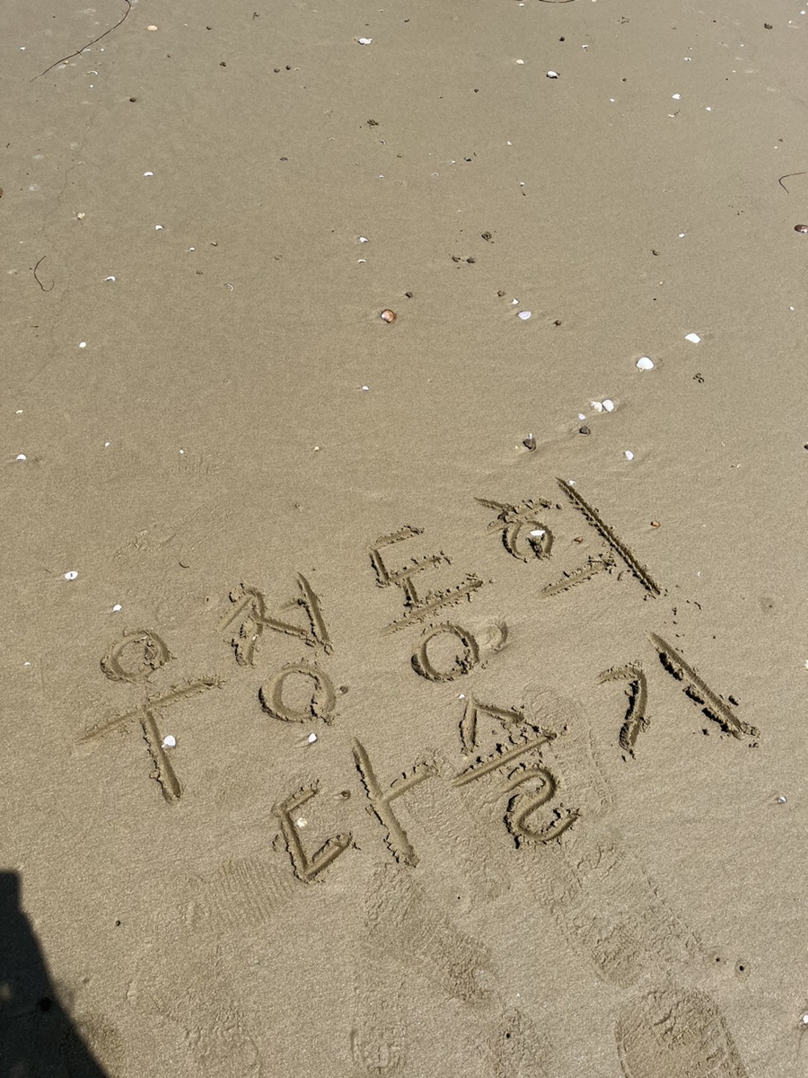 바다마트 이미지