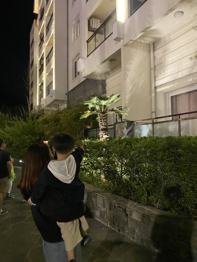 킨더랜드키즈카 이미지
