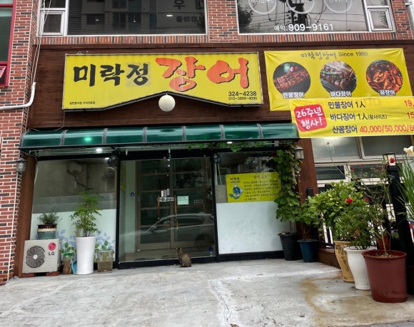 미락정장어 이미지