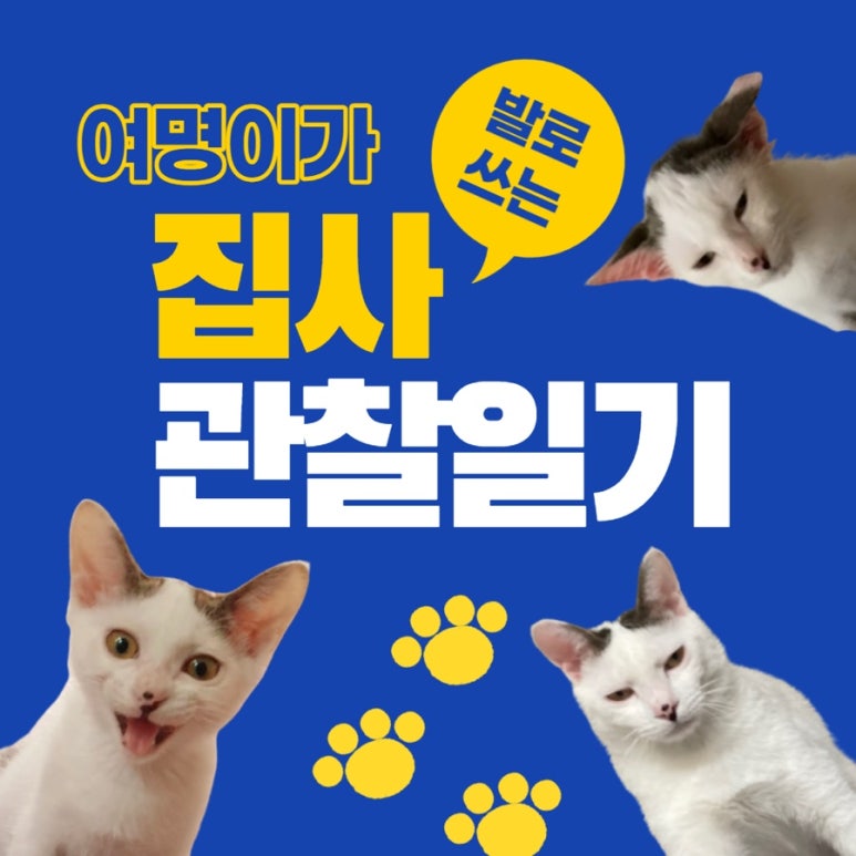 잘래 이미지