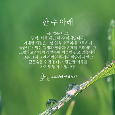 수아래 이미지