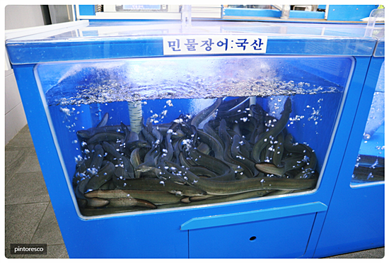 잠실장어와한우 이미지