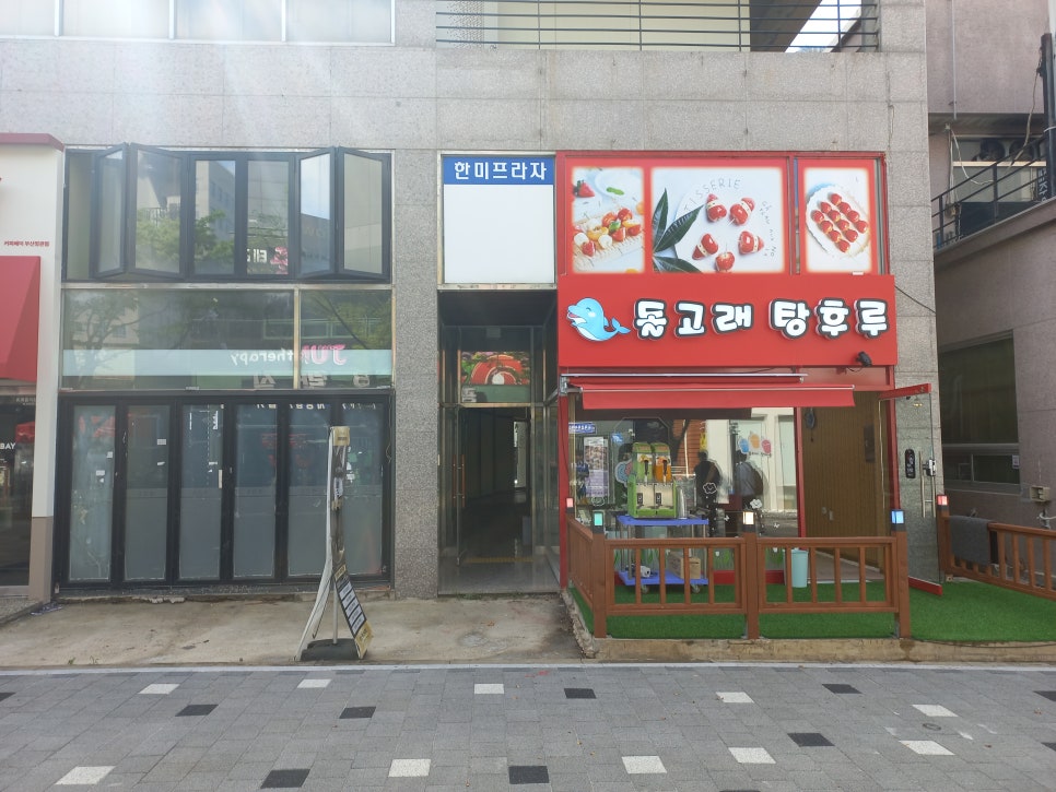 돌고래 탕후루 이미지