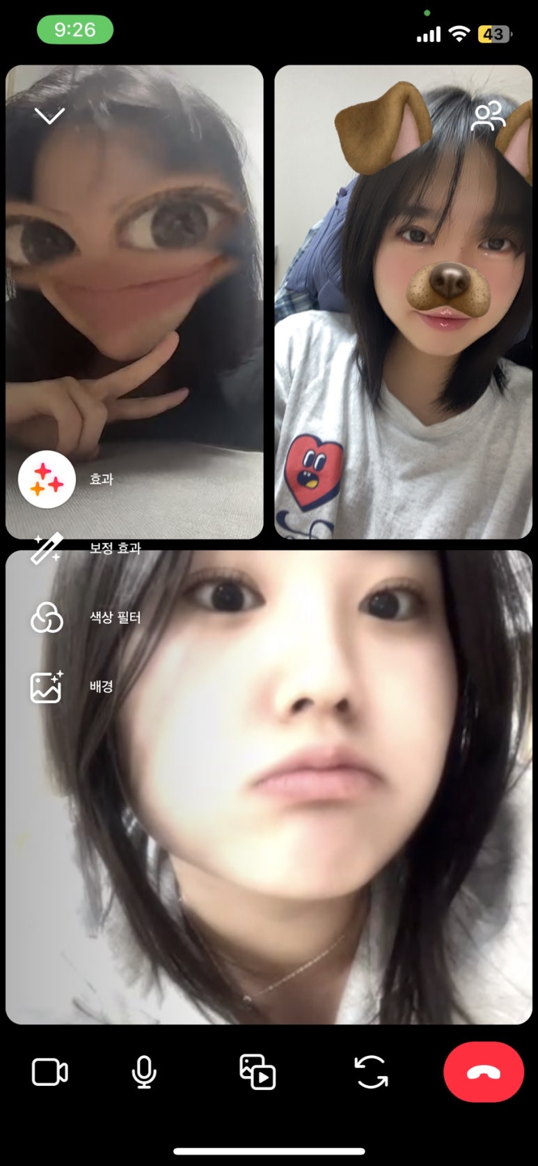 육회하게 이미지