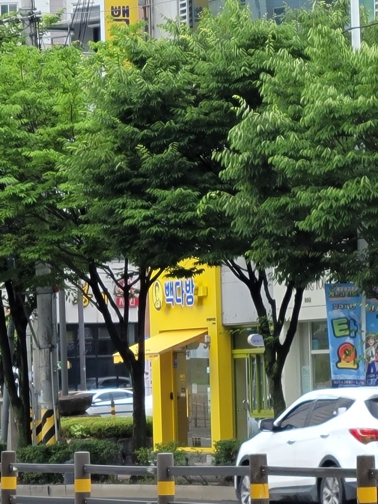 빽다방전주평화모악로점 이미지