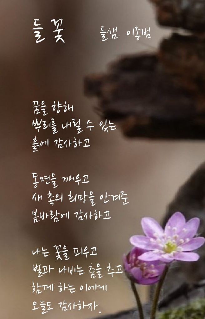 르노코리아자동차서비스코너 이미지