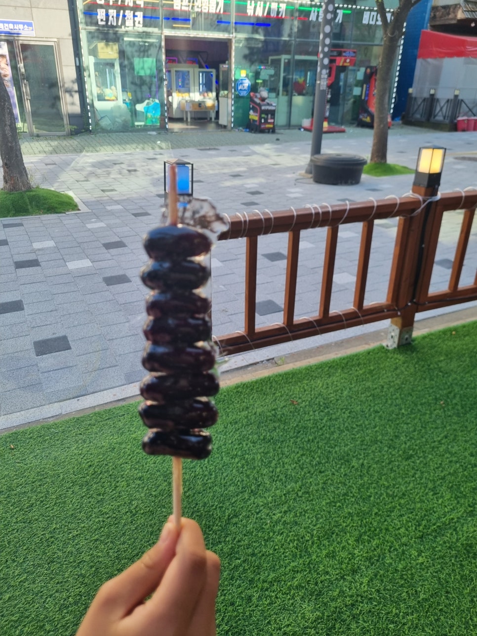 돌고래 탕후루 이미지