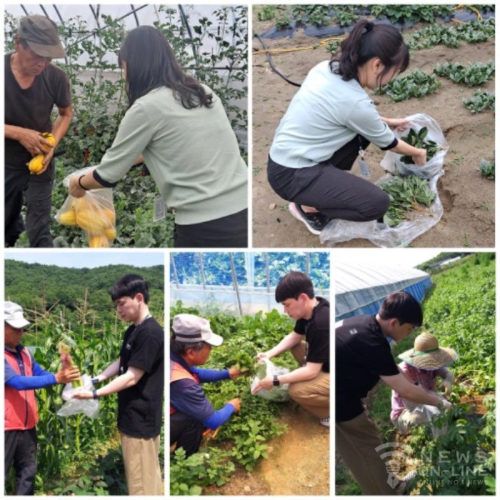 재단법인 아산시먹거리재단 이미지
