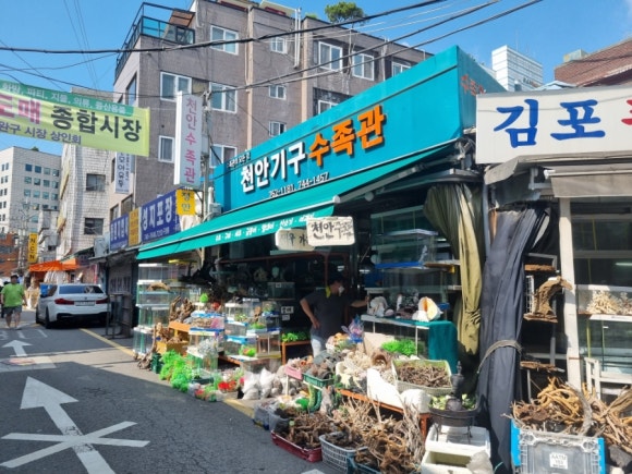 대박문구완구 이미지