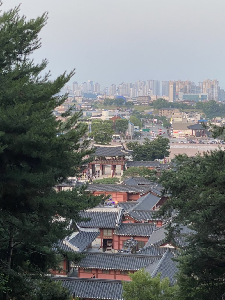 네모칸 이미지