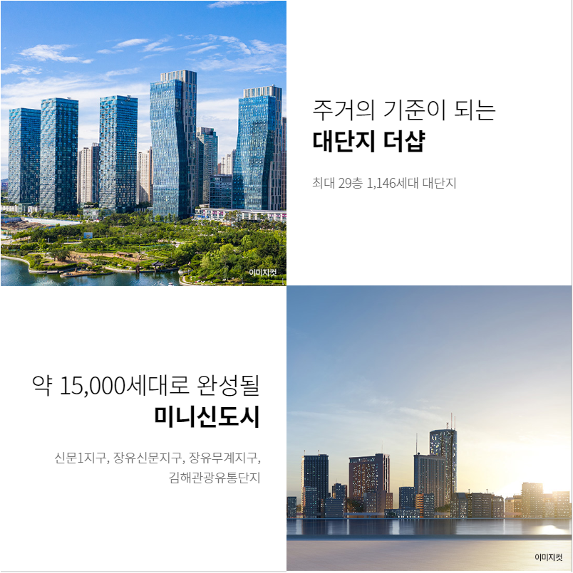 장유정보 이미지