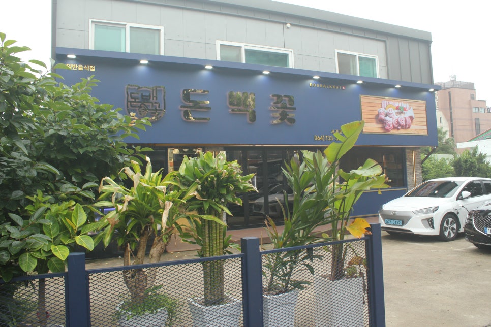 돈백꽃서귀포점 이미지