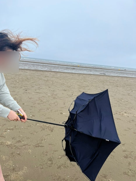 바다마트 이미지