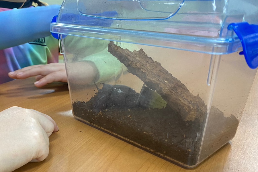 오세창곤충체험농장 이미지