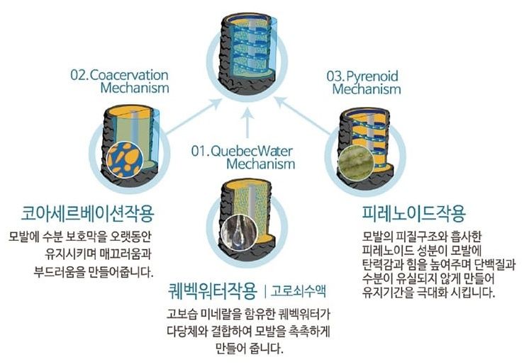 유명한카클리닉 이미지