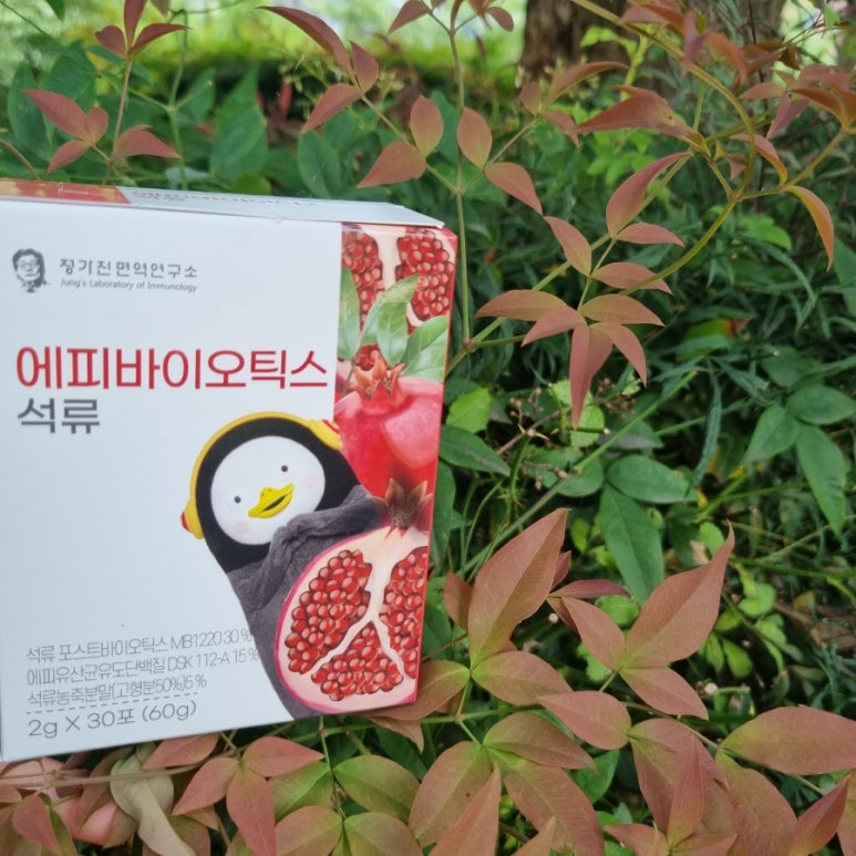 에피바이오틱스 이미지
