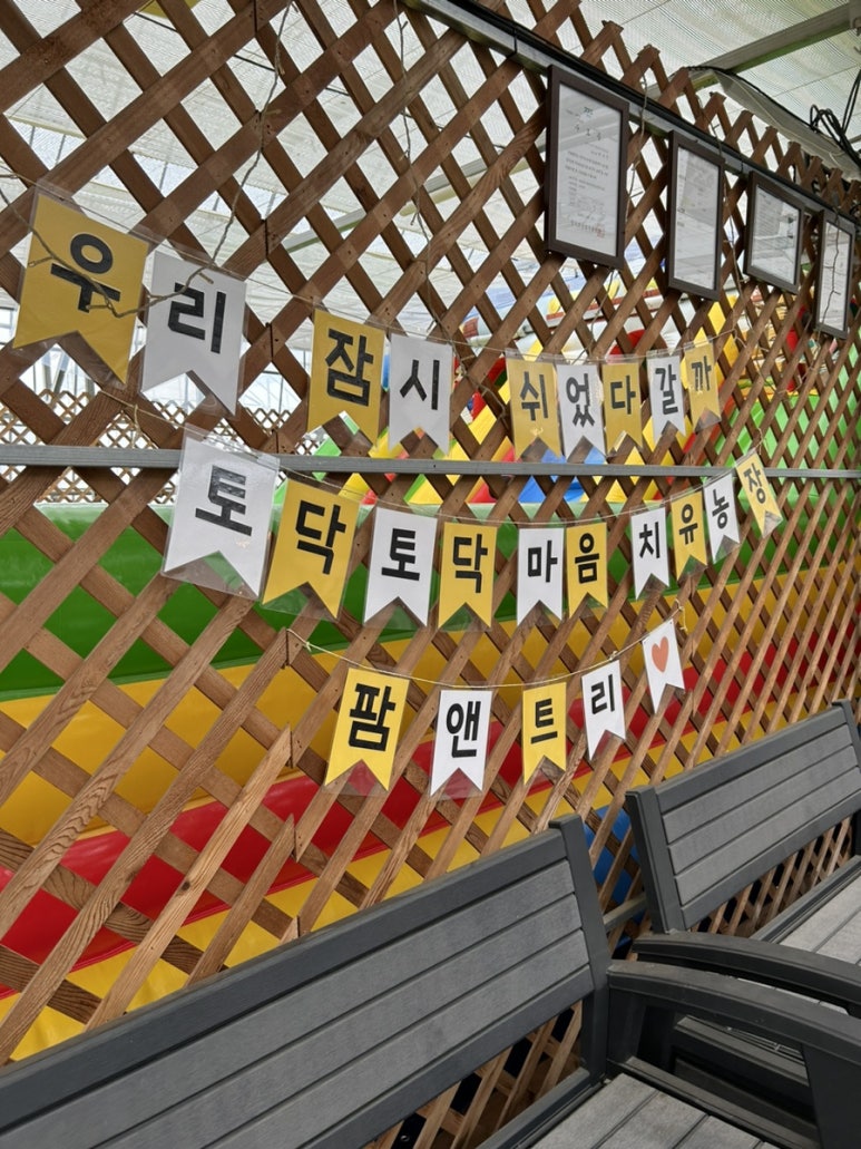 트리앤팜 이미지
