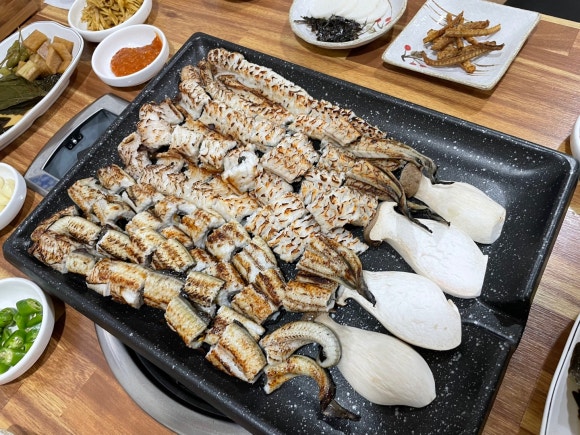 미락정장어 이미지