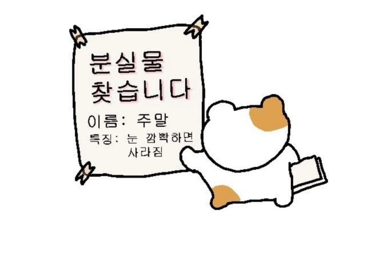 노가드네 이미지