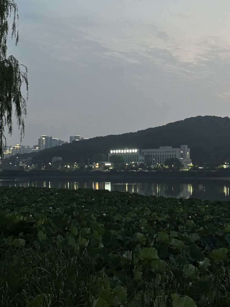 비에이치씨치킨안서점 이미지