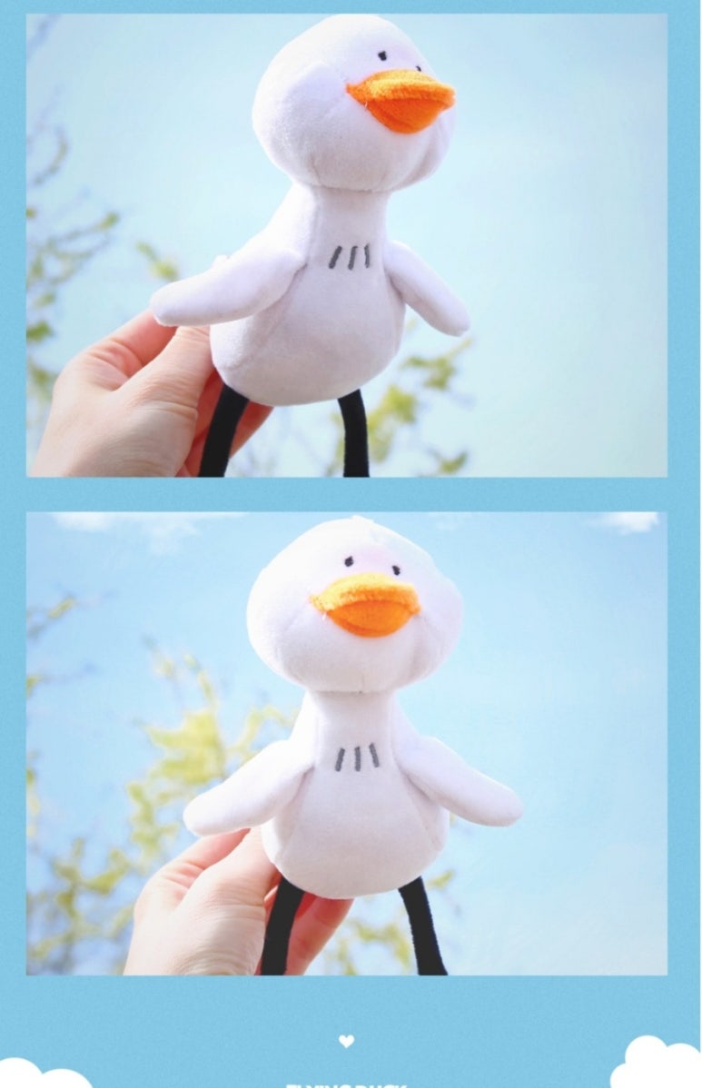 플라이덕 이미지