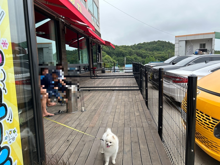 진실한짬뽕집 이미지