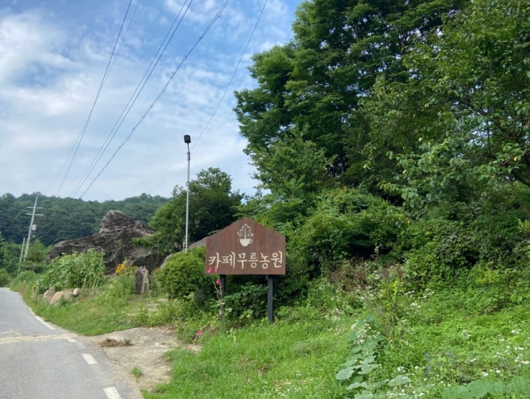 카페무릉농원 이미지