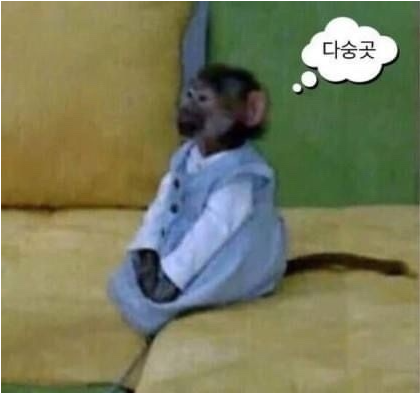 유네사진관 이미지