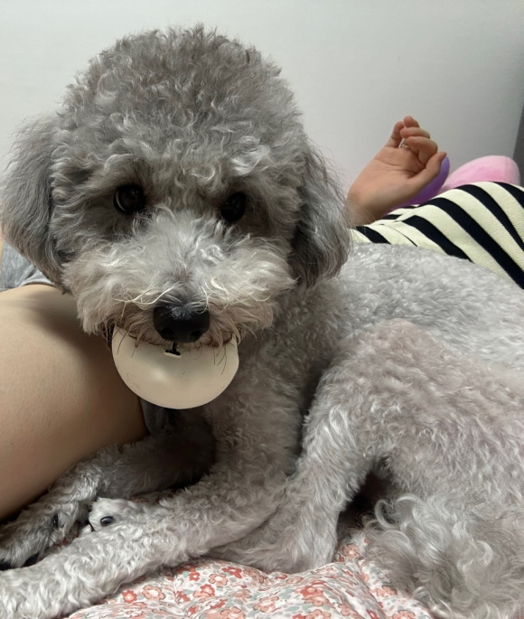 남조선떡볶이 이미지