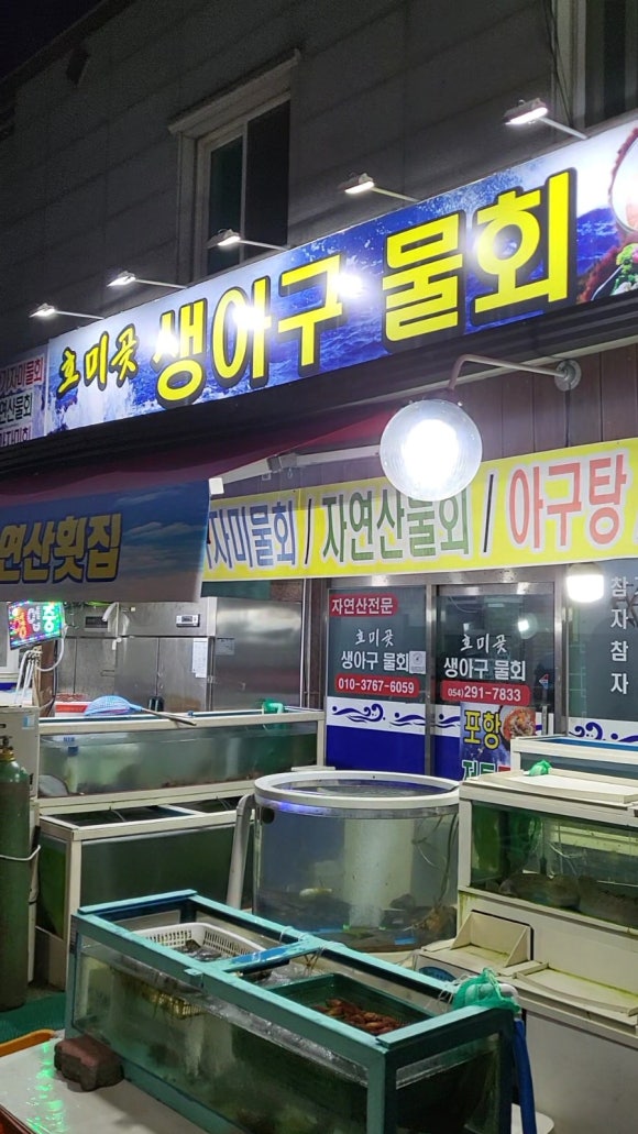 호미곶참가자미 이미지
