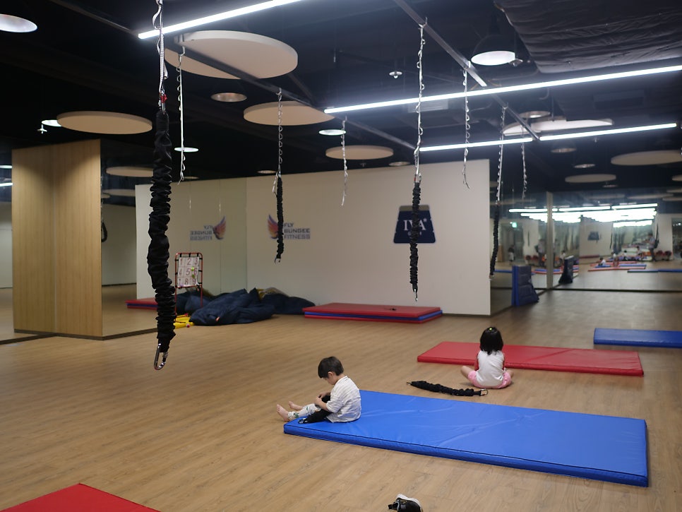 이야짐 이미지