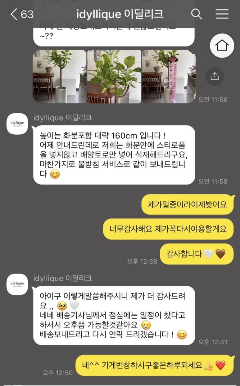 이딜리크 이미지