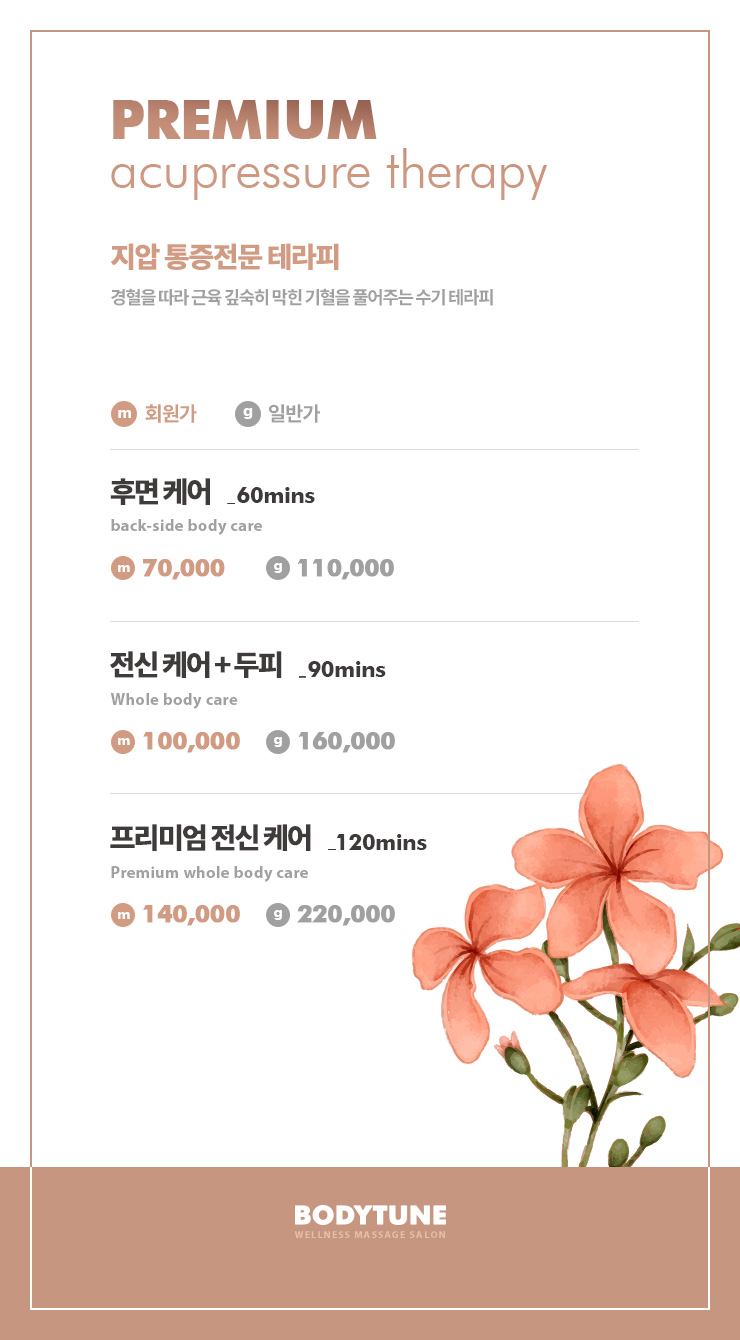 경혈테라피 이미지