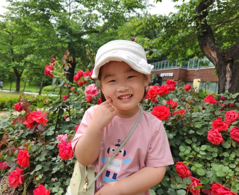 지유자전거 이미지