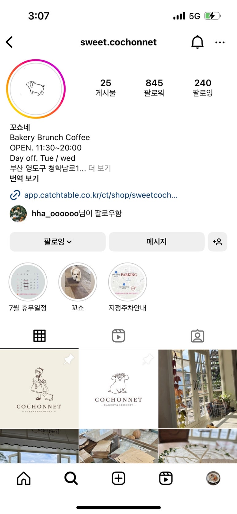 꼬쇼네(COCHONNET) 이미지