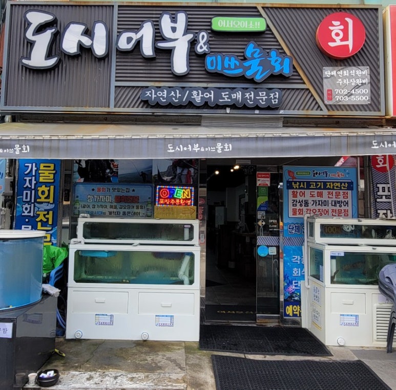 도시어부&미쓰물회 이미지