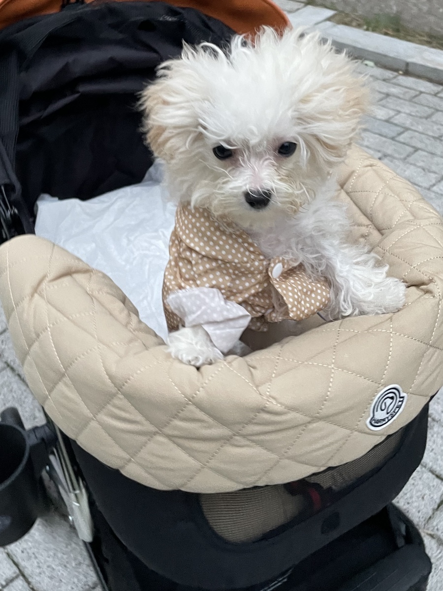 (주)오렌지원 이미지