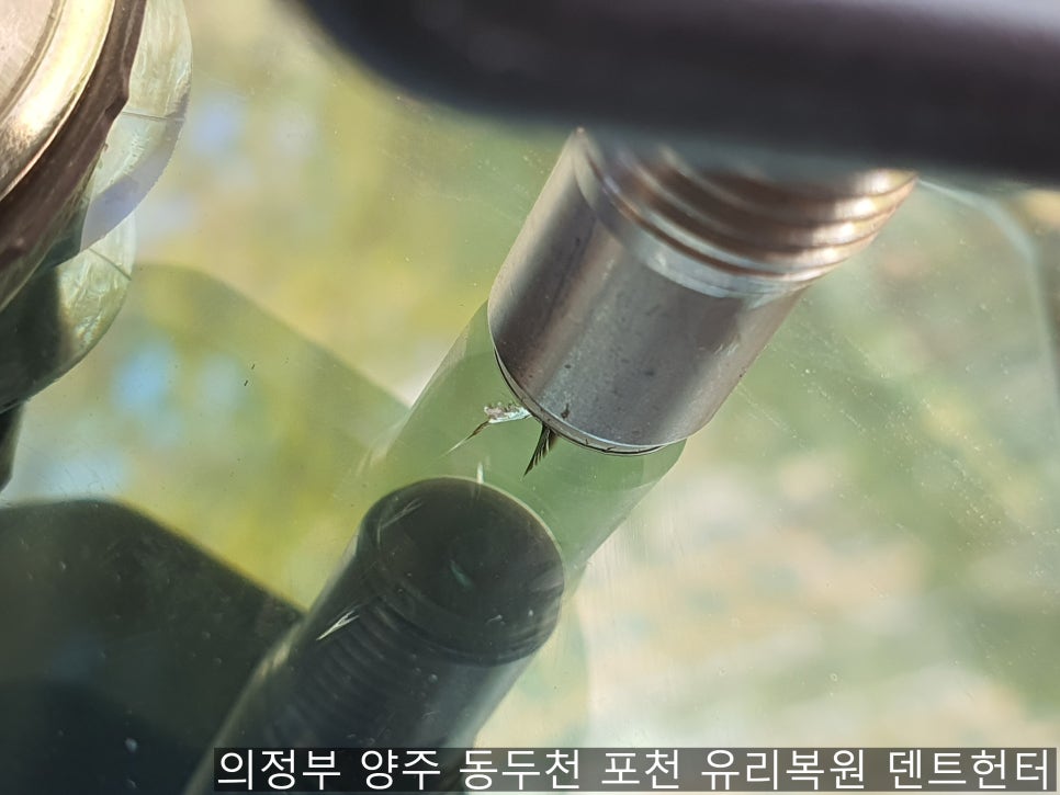 양주도니 이미지