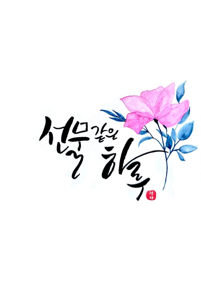 캘리스테이 이미지