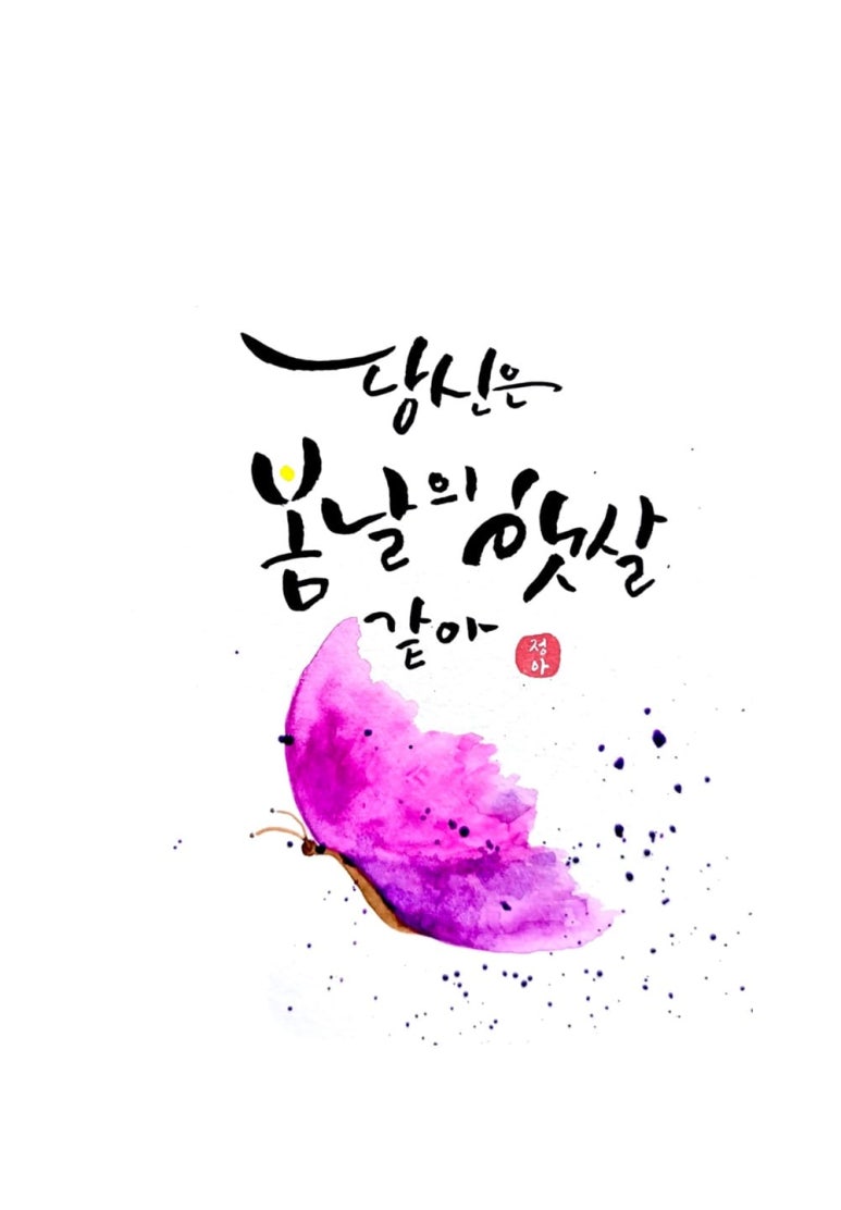 캘리스테이 이미지