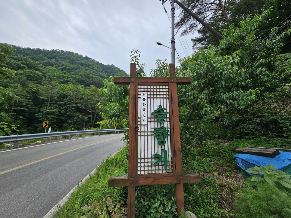 솔향기펜션민박 이미지