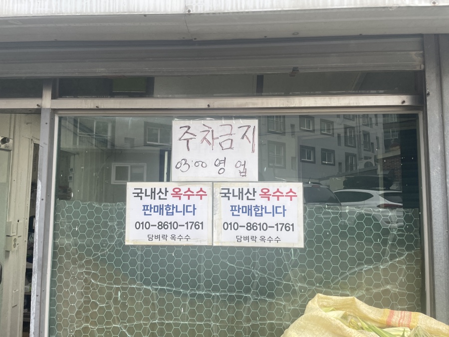담벼락옥수수 이미지