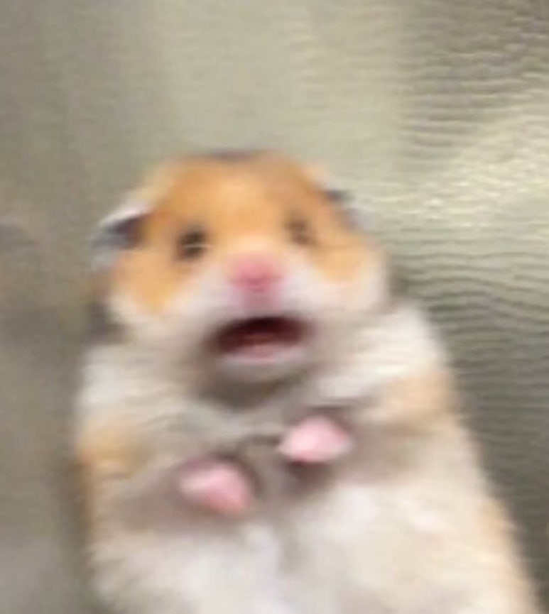 원ETC 이미지