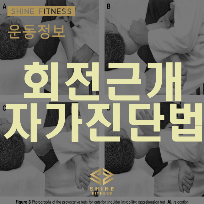 세라샤인 이미지