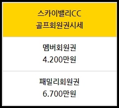 스카이엔지니어링주 이미지