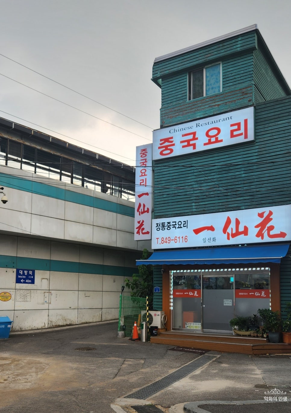 일선화 이미지