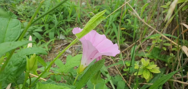 소태산마음학교 이미지