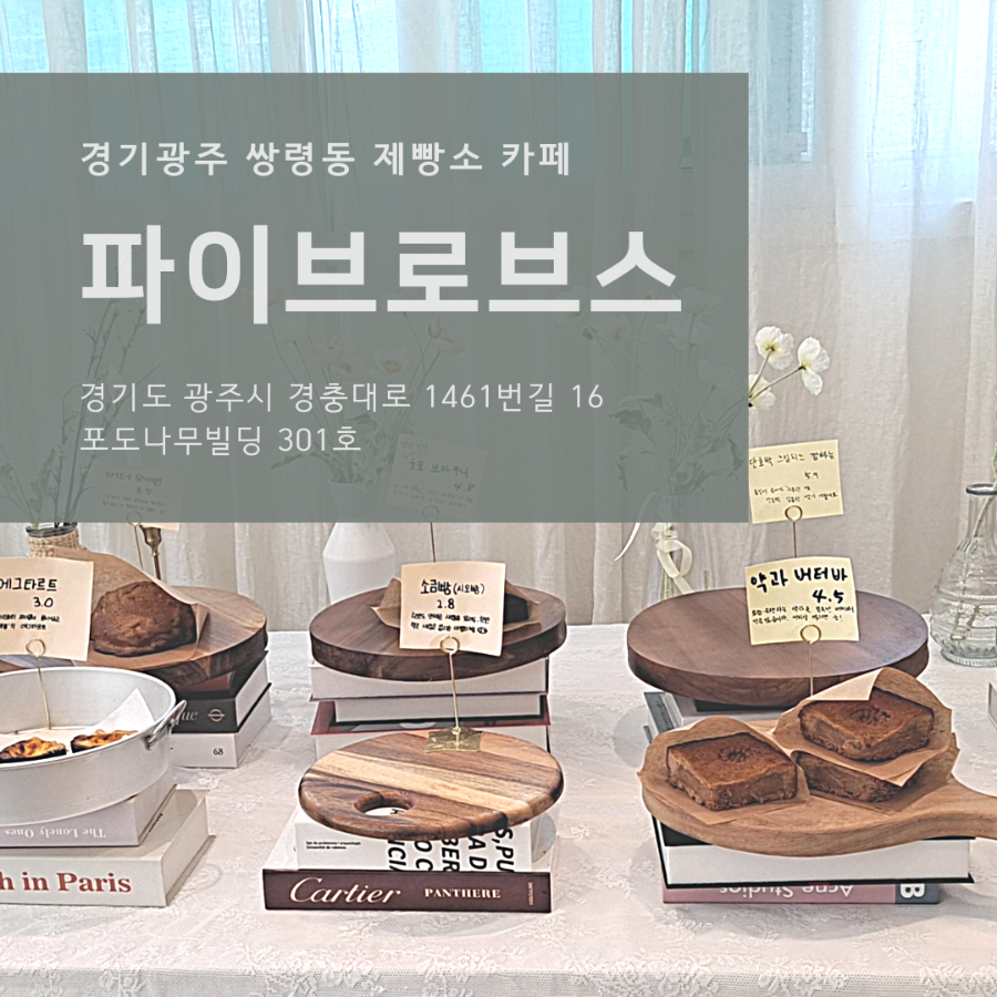 파이브로브스 이미지