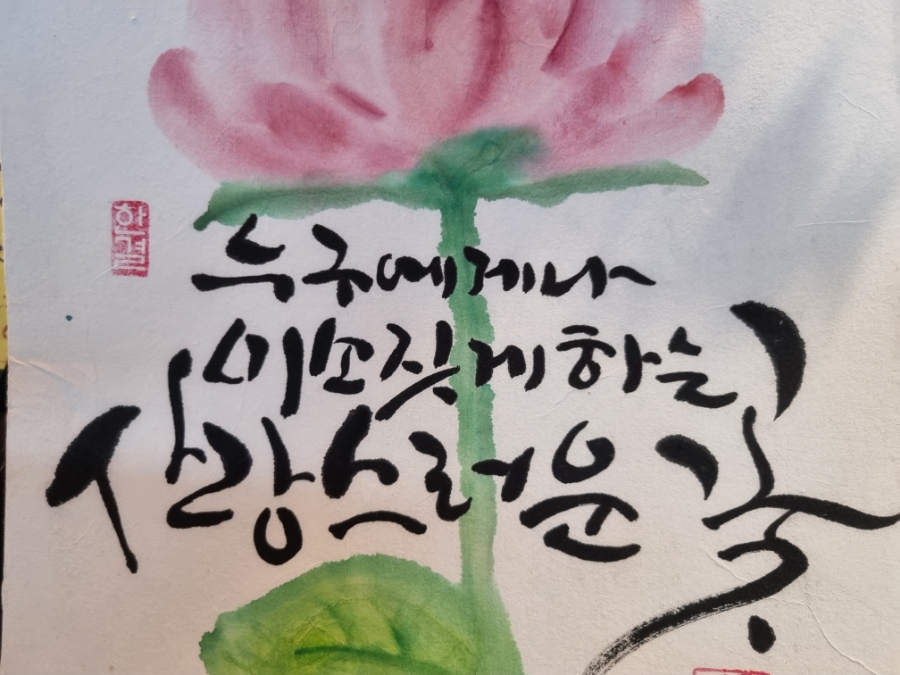 인디55 이미지